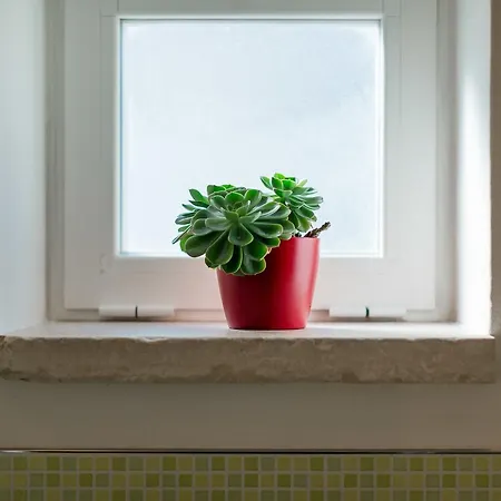 Arcueve-dimora Con Vista Con Terrazze Panoramiche *