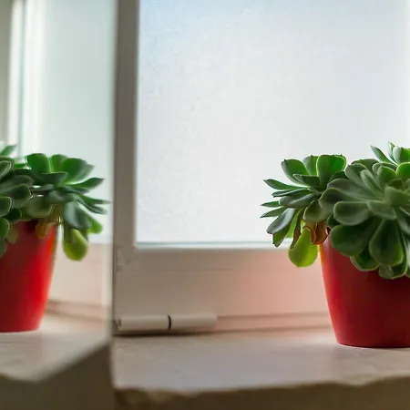 Casa de Férias Arcueve-dimora Con Vista Con Terrazze Panoramiche *